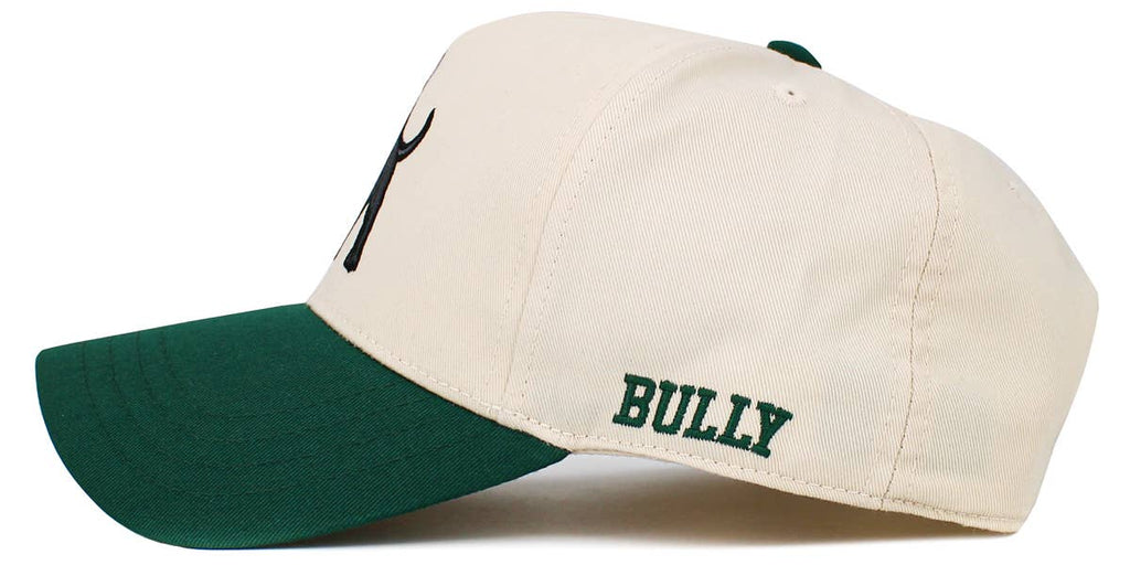 Pitbull Snapback
