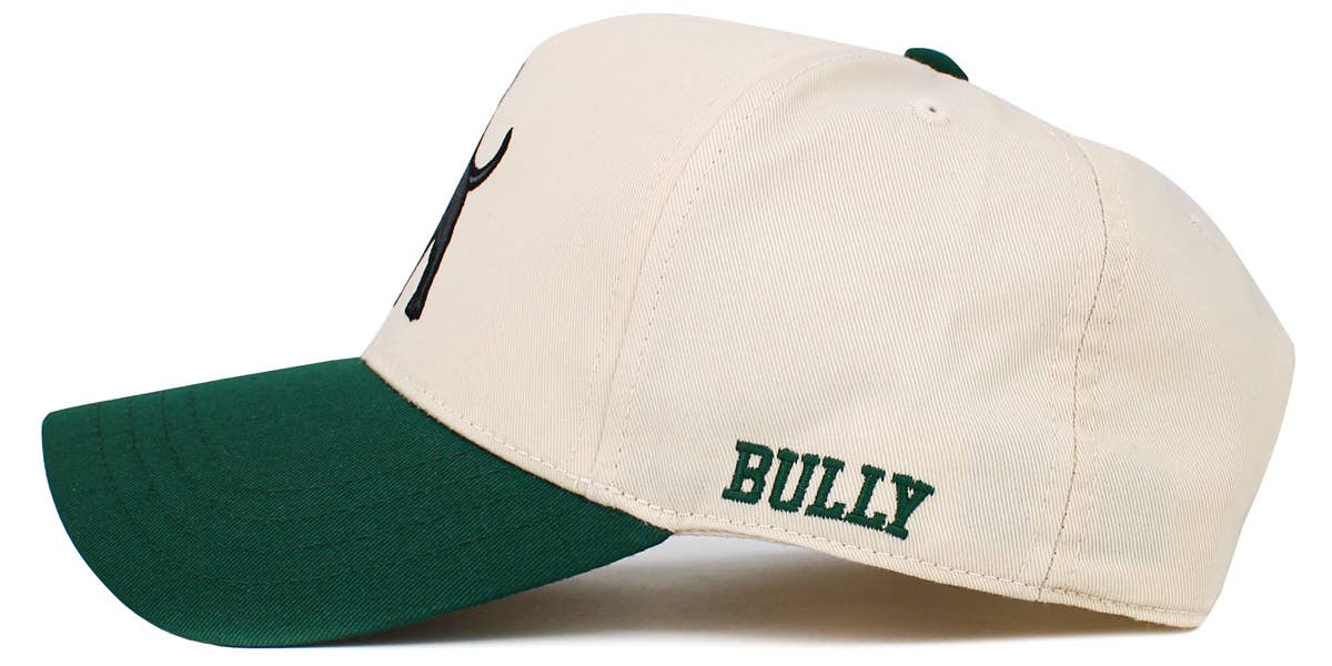 Pitbull Snapback