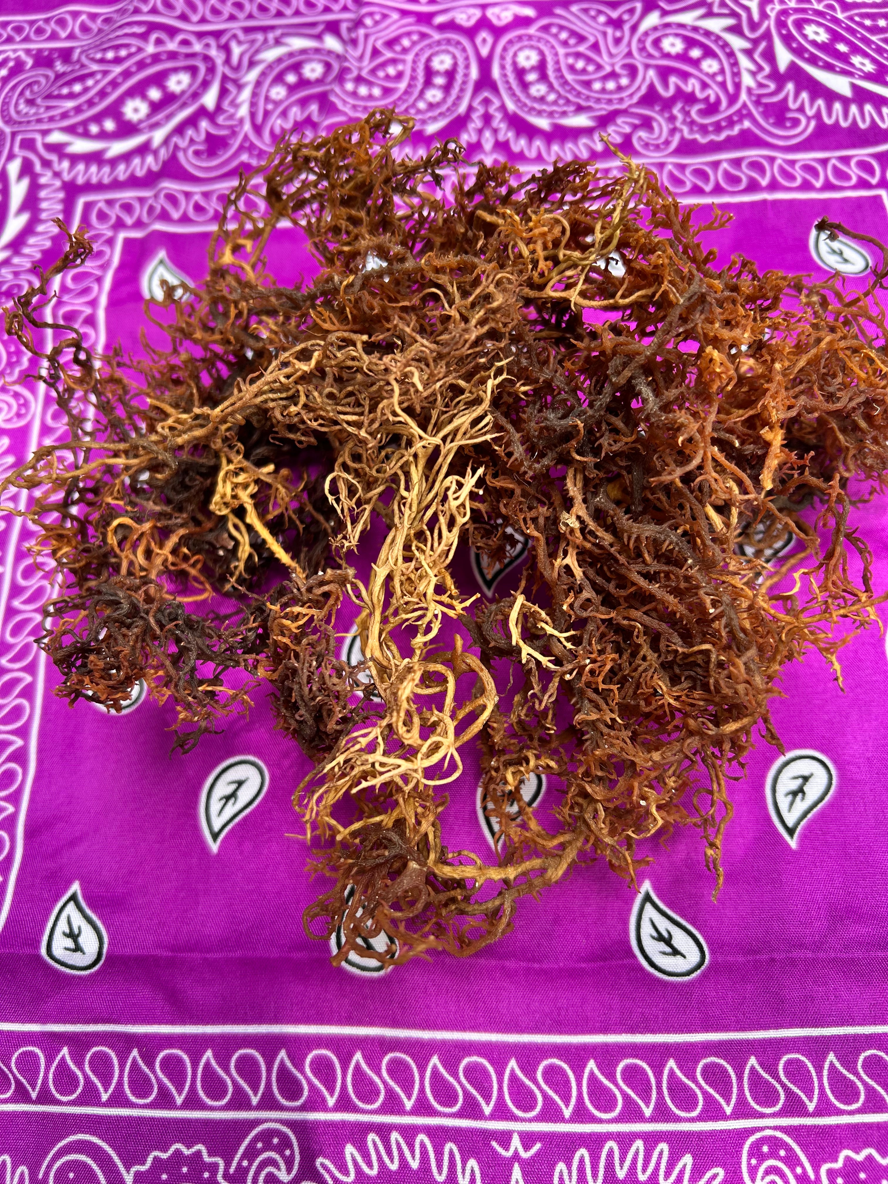 100% Tanzanian Wildcrafted Sea Moss 4oz