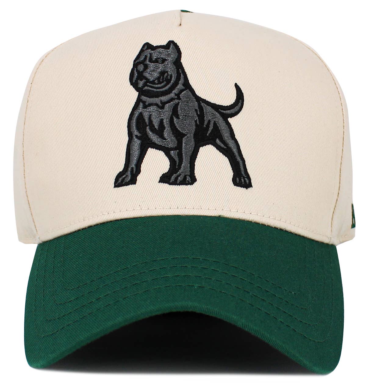 Pitbull Snapback