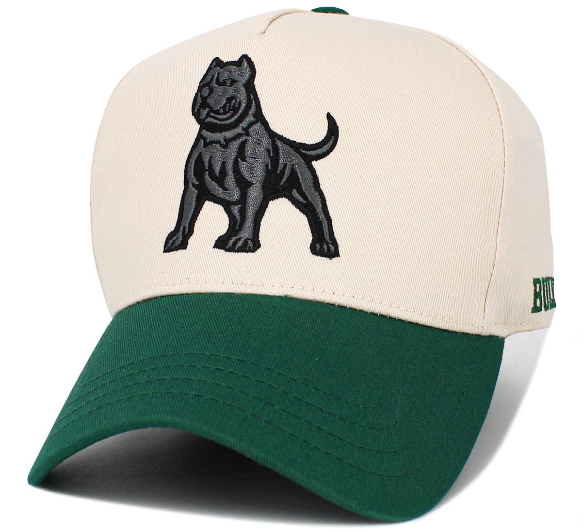 Pitbull Snapback