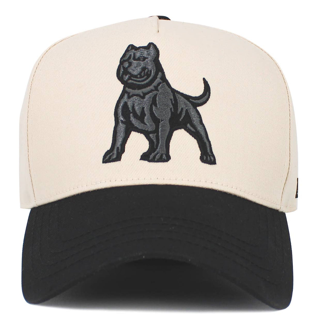 Pitbull Snapback