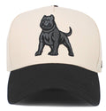 Pitbull Snapback